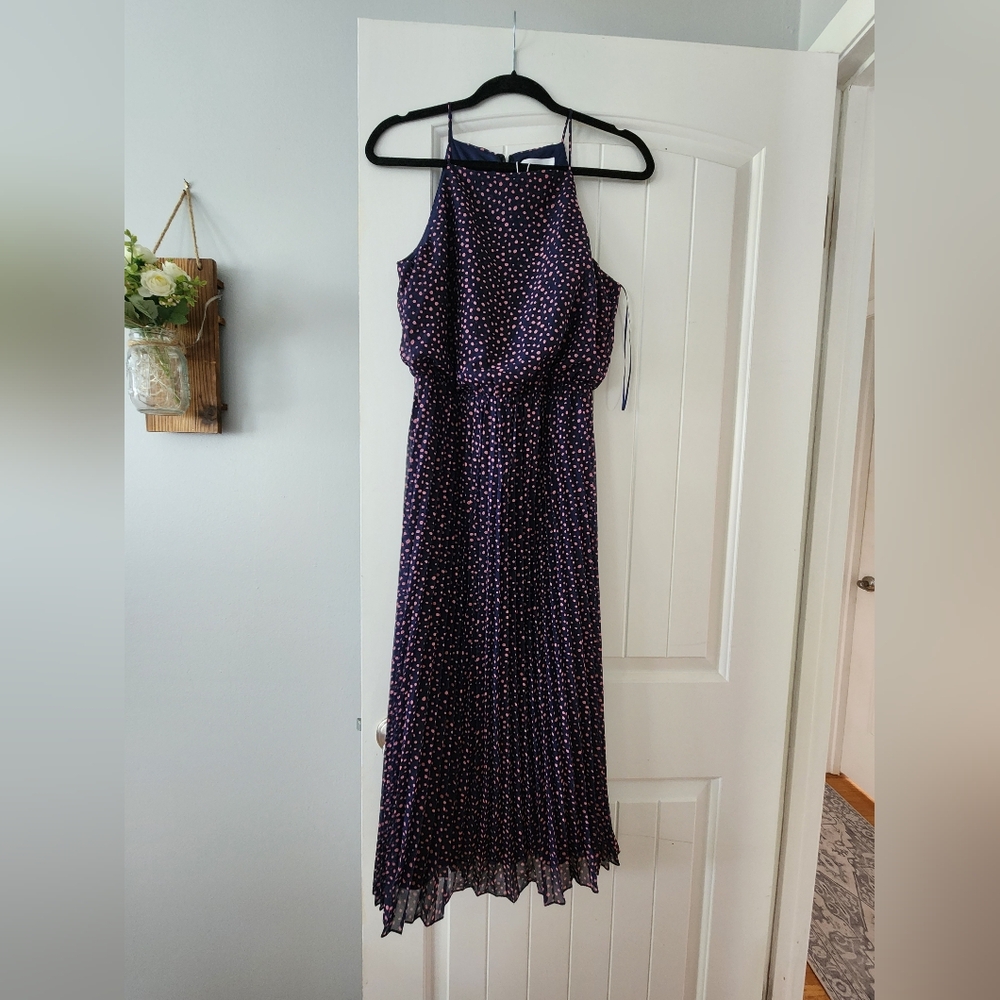 Sam Eldelman Chiffon Navy & Pink Polka Dot Pleted Maxi Dress Size 6